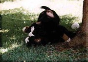 Baby-04