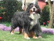 Volmar