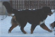 07012712