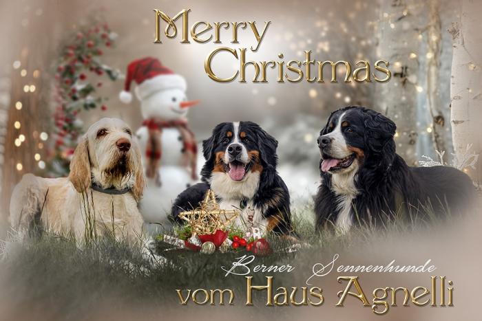 Christmas-202404aHP